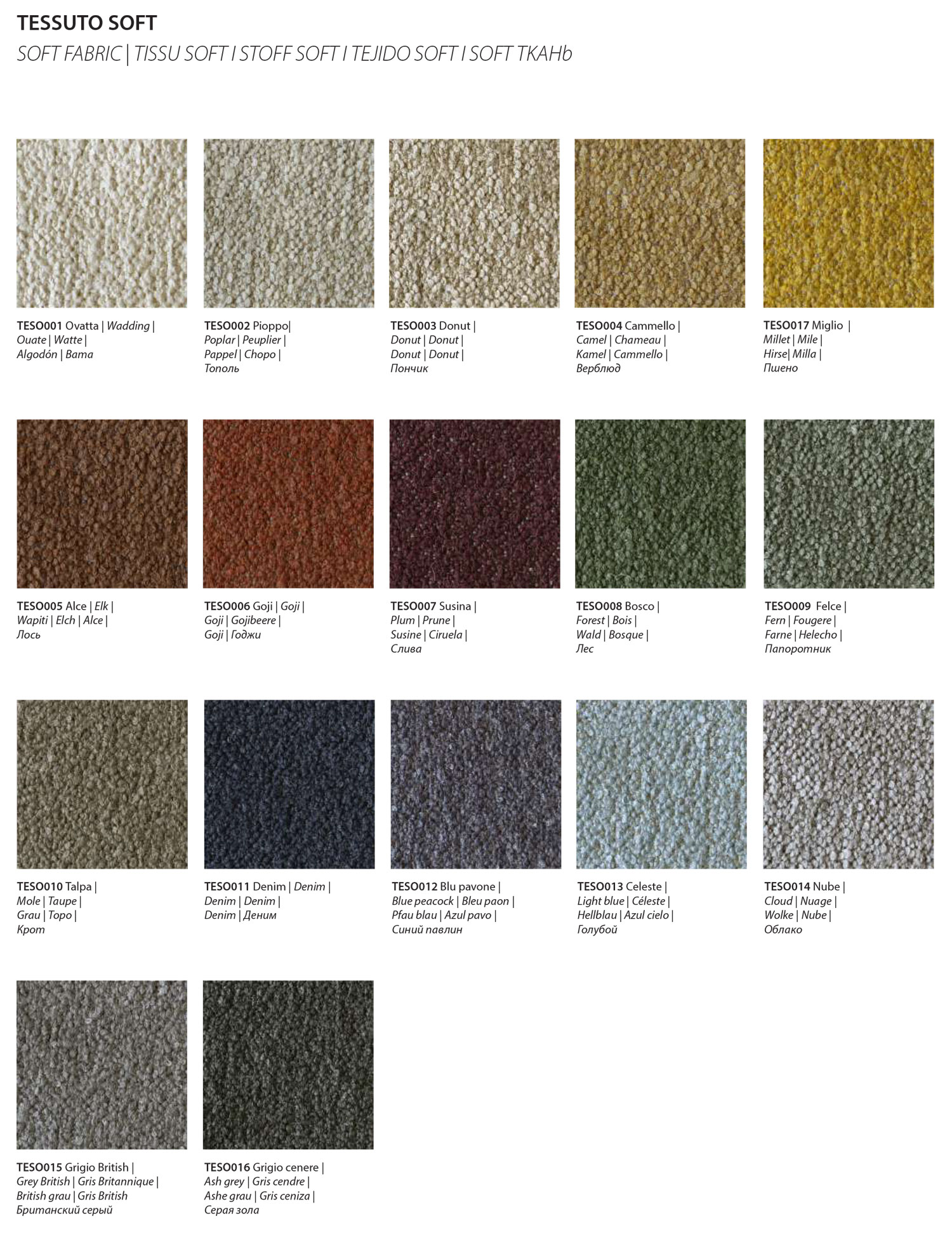 Soft-CategoriaE-Bontempi-1