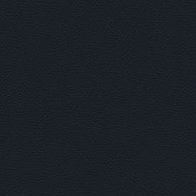 ecp22-navy-cattelan-italia