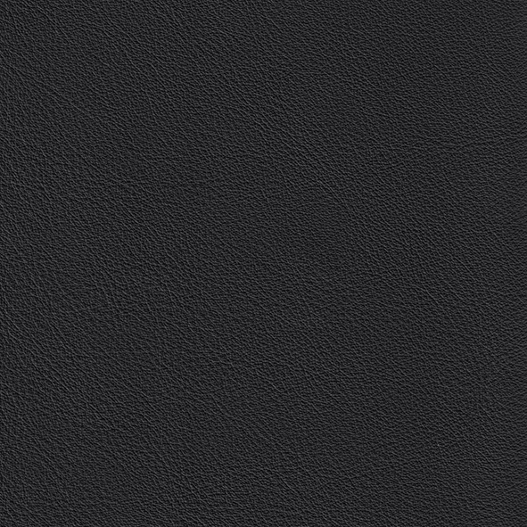 GLW17 Hornet-cattelan-italia