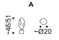 Cloud Table Lamp Cattelan Italia dimensions and sizes