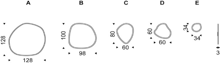 Hawaii Mirror Cattelan Italia dimensions and sizes