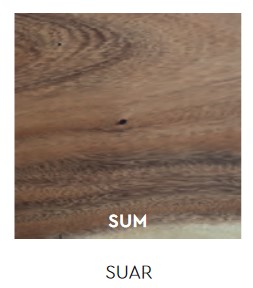 larboj-elite-to-be-floor-lamp-dimensions-finishes5