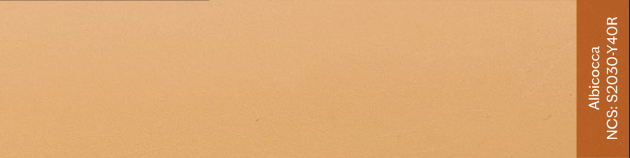 albicocca.jpg
