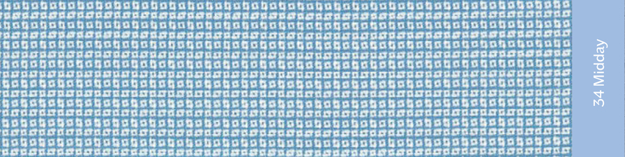 midday.jpg