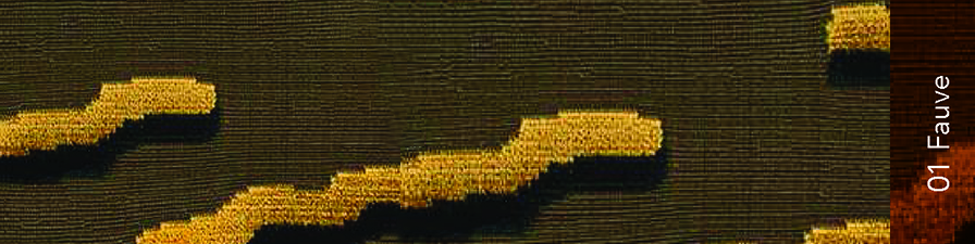 dedar-tiger-beats-fabric-miniforms-00