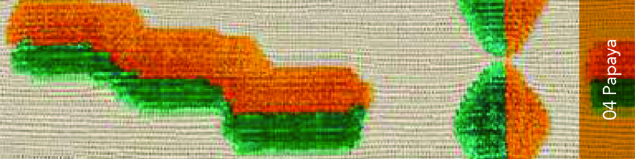 dedar-tiger-beats-fabric-miniforms-01