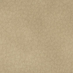 Ecopelle-1001-Tonelli