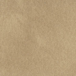 Ecopelle-1002-Tonelli