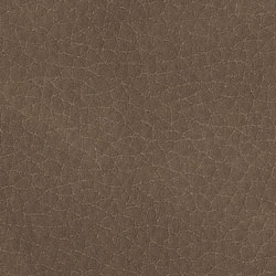 Ecopelle-1004-Tonelli