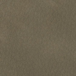 Ecopelle-1005-Tonelli