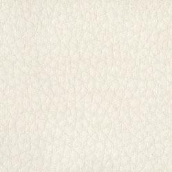 Ecopelle-1008-Tonelli