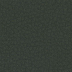 Ecopelle-1012-Tonelli