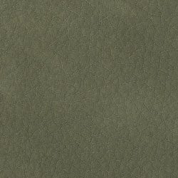 Ecopelle-1013-Tonelli