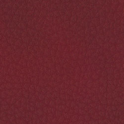 Ecopelle-1014-Tonelli