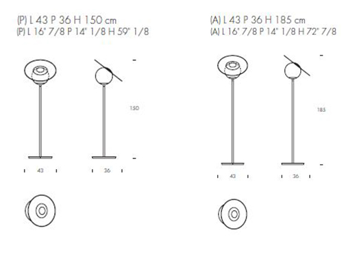 miss-tonin-casa-dimensions