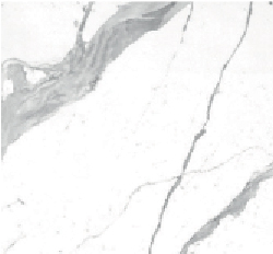 bianco-statuario-venato